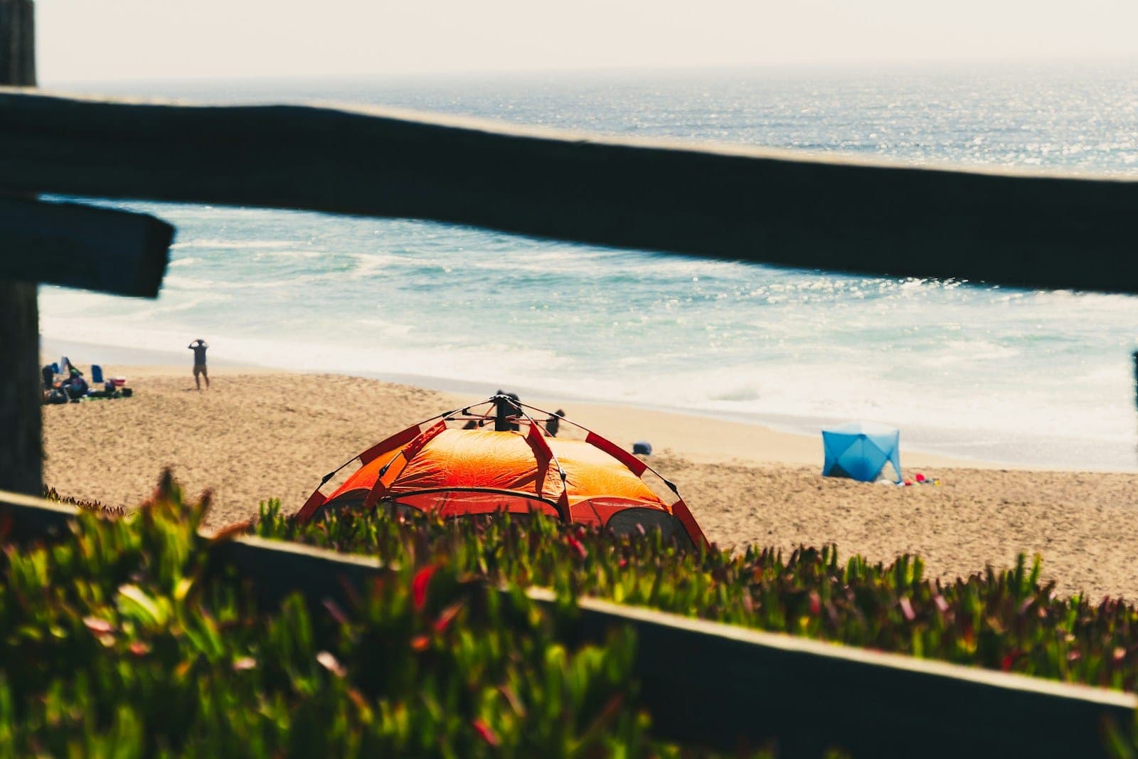 An orange tent pitched on sand next to the surf, framed by a wooden fence and ice plant