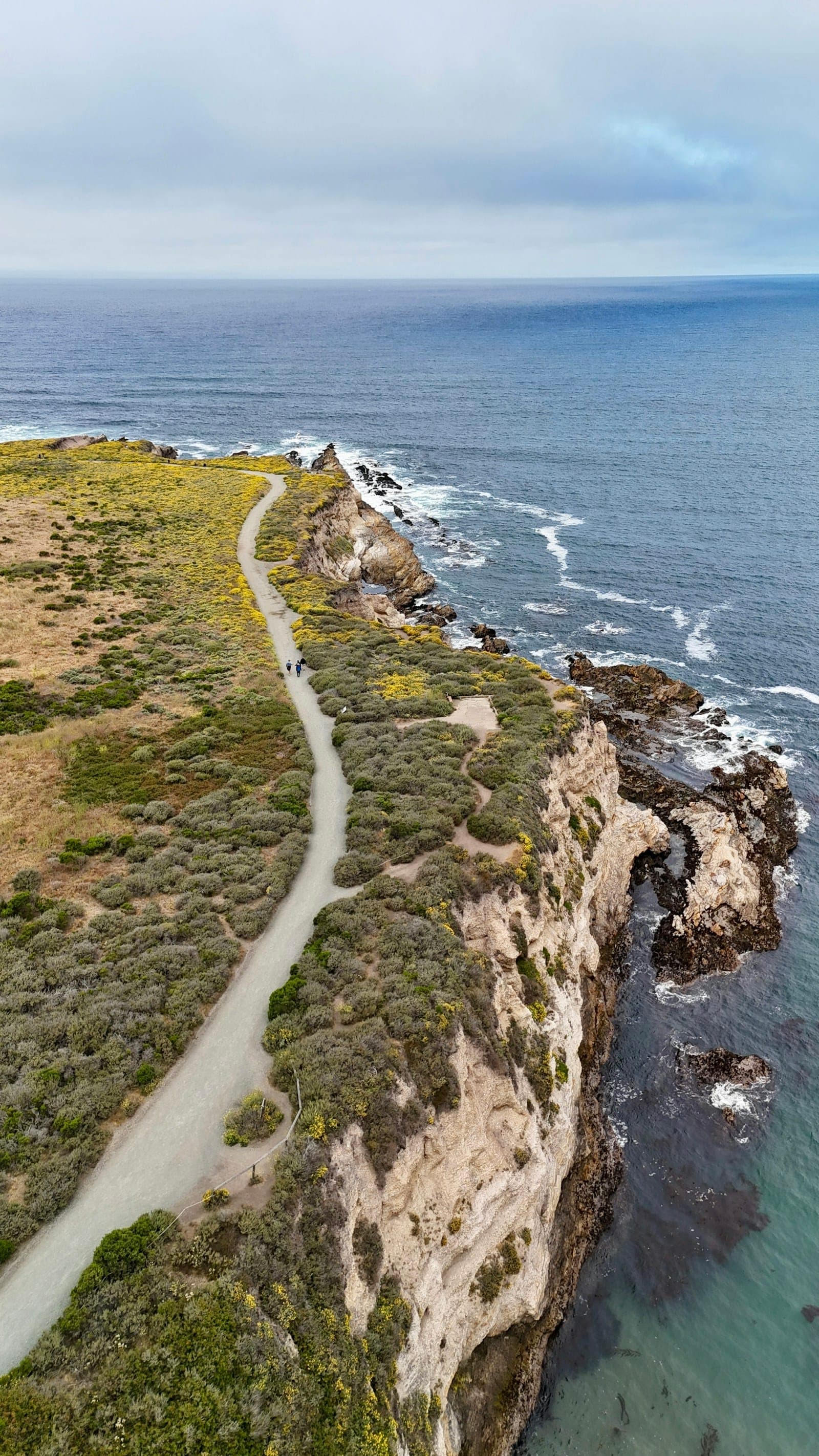 Aerial view of the Bluff Trail winding along scrub-covered cliffs above the Pacific at Montaña de Oro