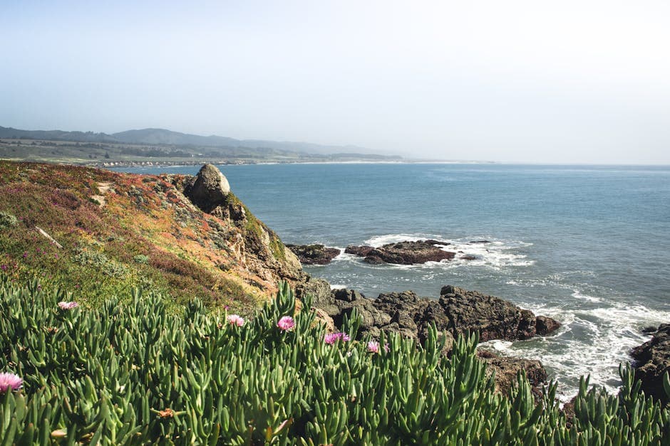 Pacific Ocean waves crashing on Central Coast shoreline
