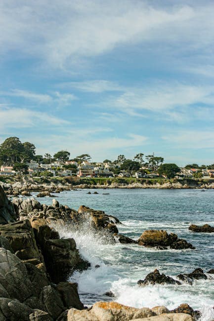 White sand beach at Carmel-by-the-Sea with Monterey cypress trees