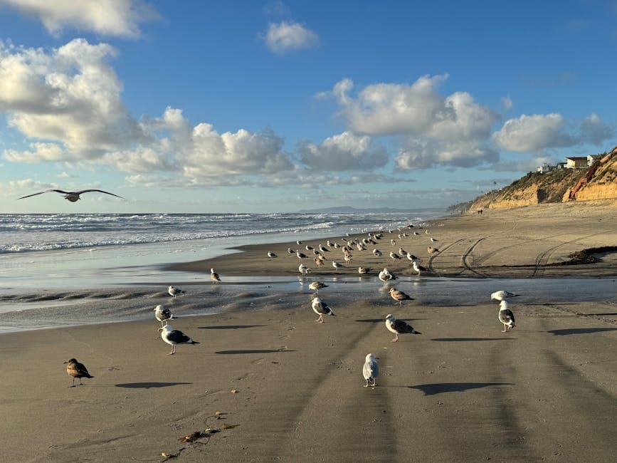 Encinitas coastline and beach