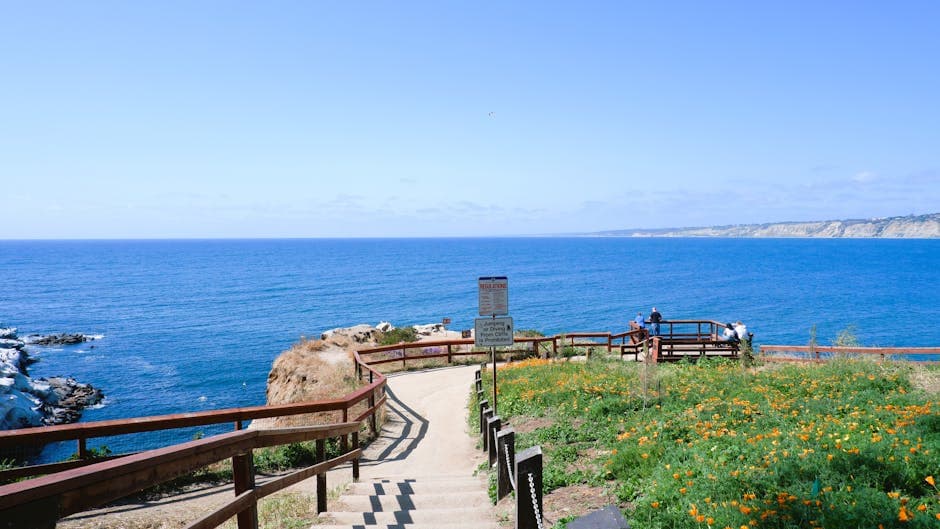 La Jolla Cove with sea lions on rocks and turquoise Pacific Ocean water
