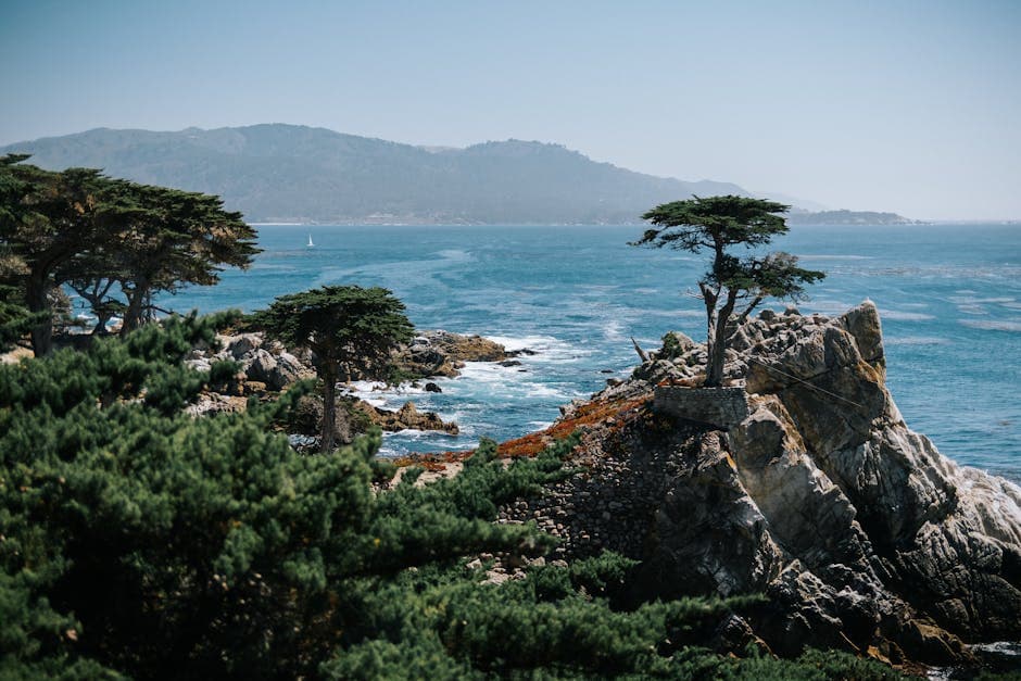 Monterey Bay coastline with rocky shore and blue water