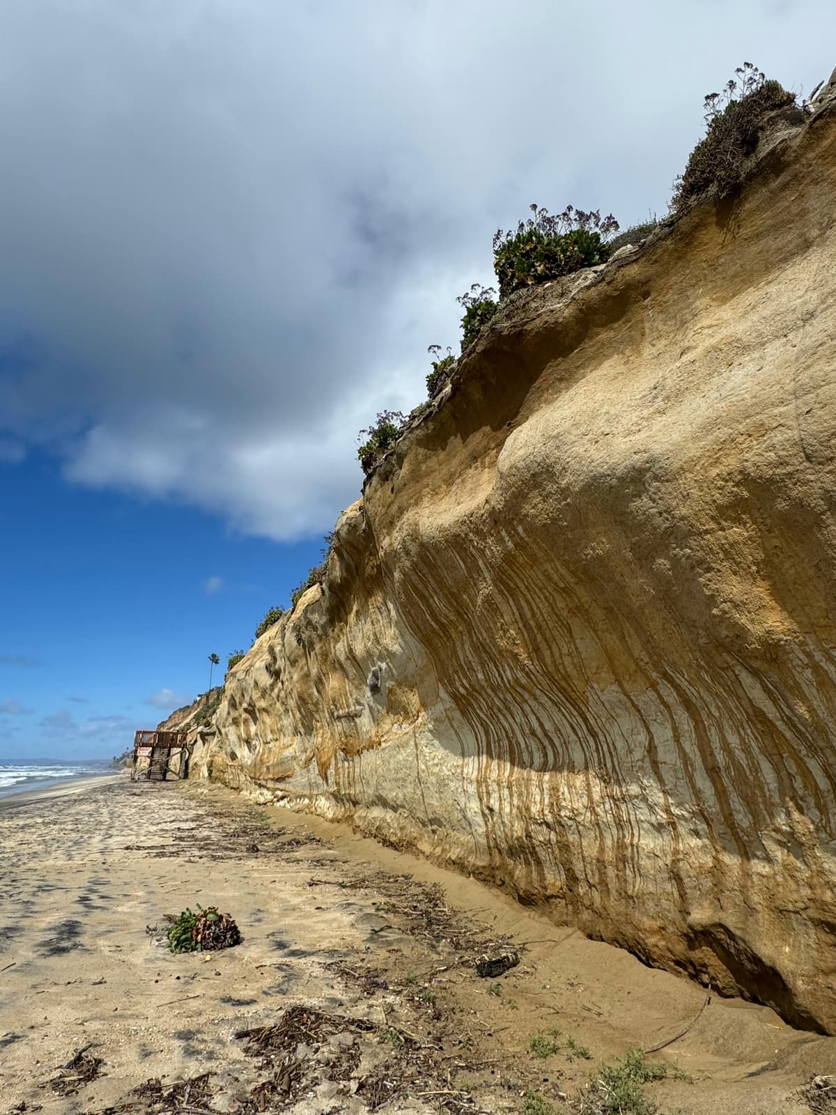 Moonlight Beach in Encinitas, California