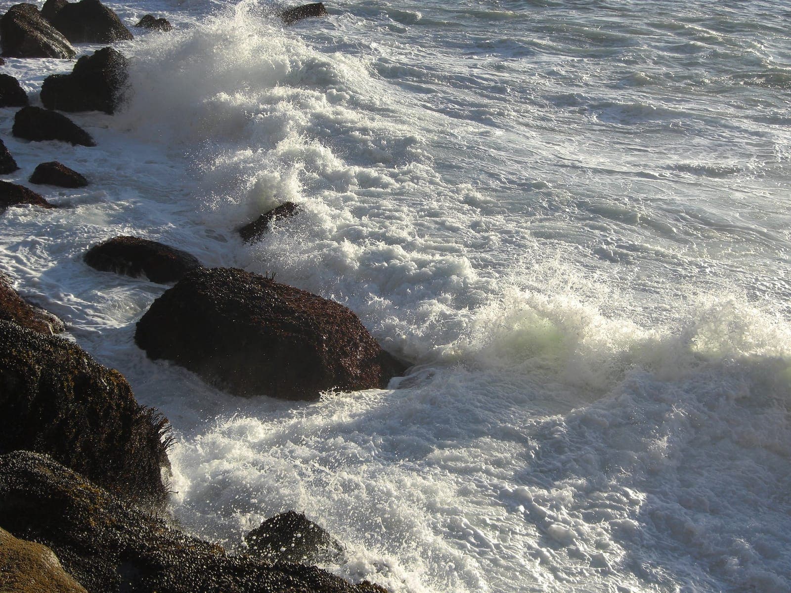 Whitewater surging between mussel-covered boulders at the base of Morro Rock, with spray thrown up off the rocks