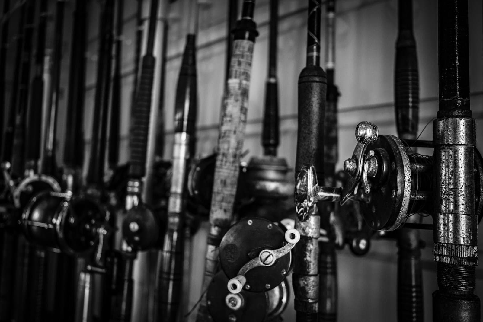 Row of fishing rods and reels ready for surf fishing