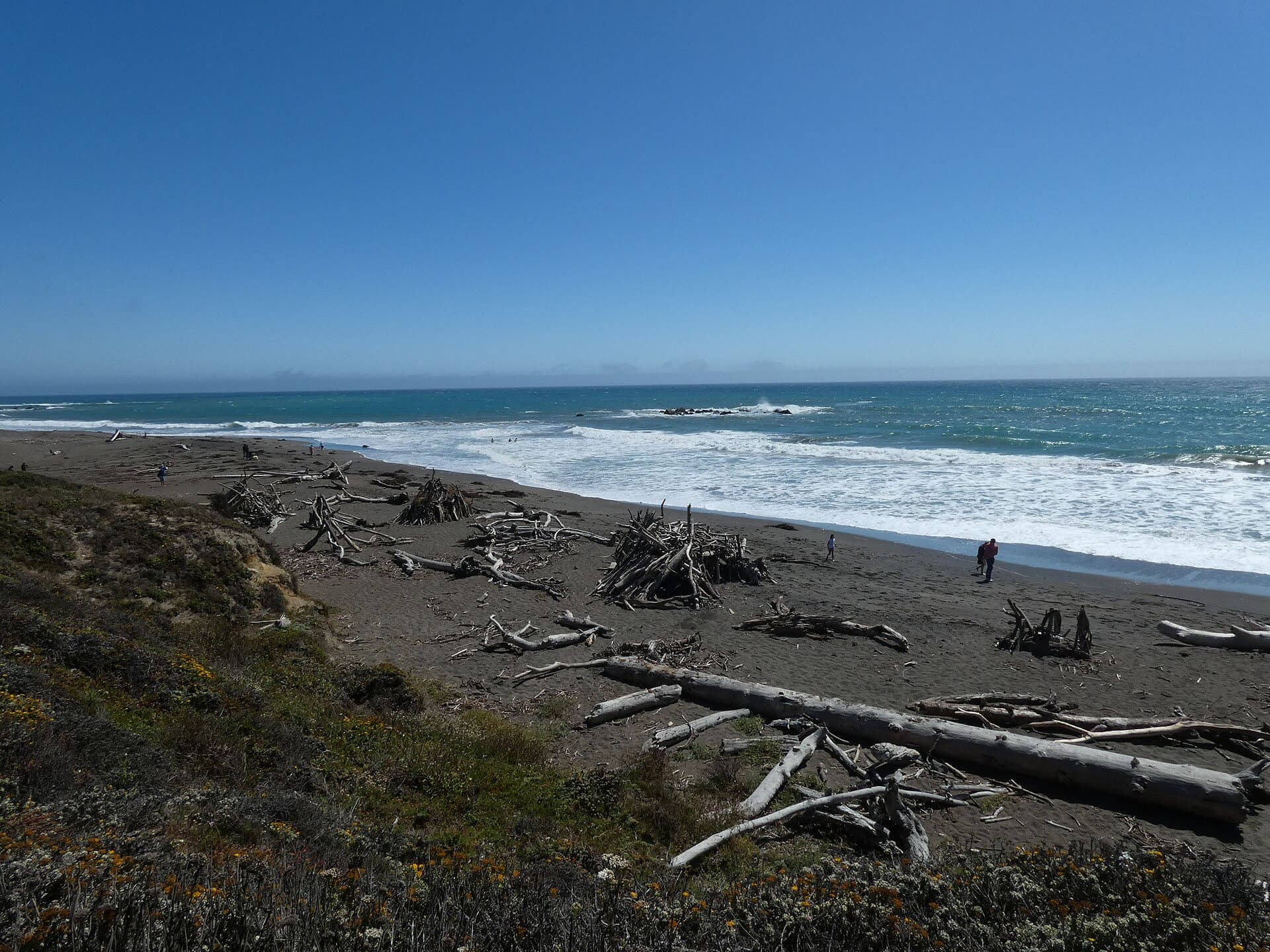 Driftwood scattered across the dark sand of Moonstone Beach in Cambria, with white surf and a clear blue sky