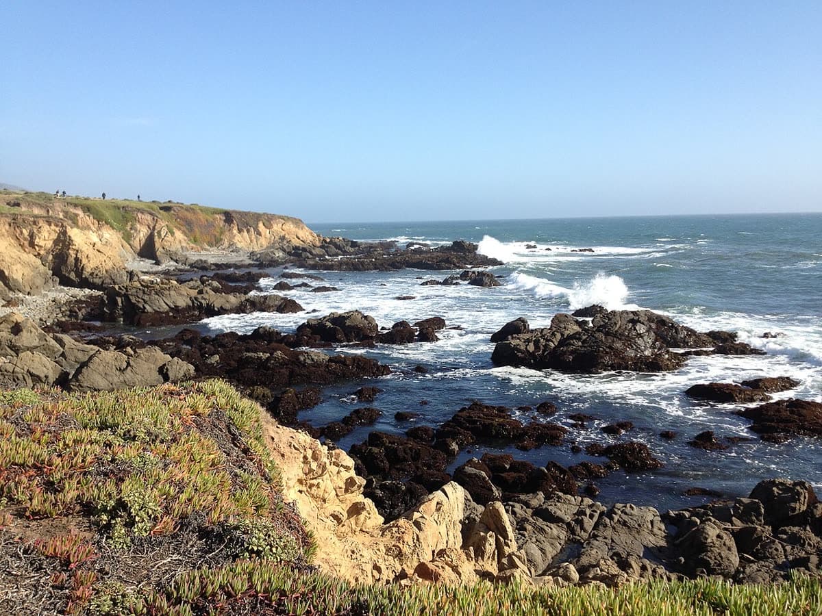 Sandstone bluffs and dark rocky reef with breaking waves along the shoreline of the Fiscalini Ranch Preserve in Cambria