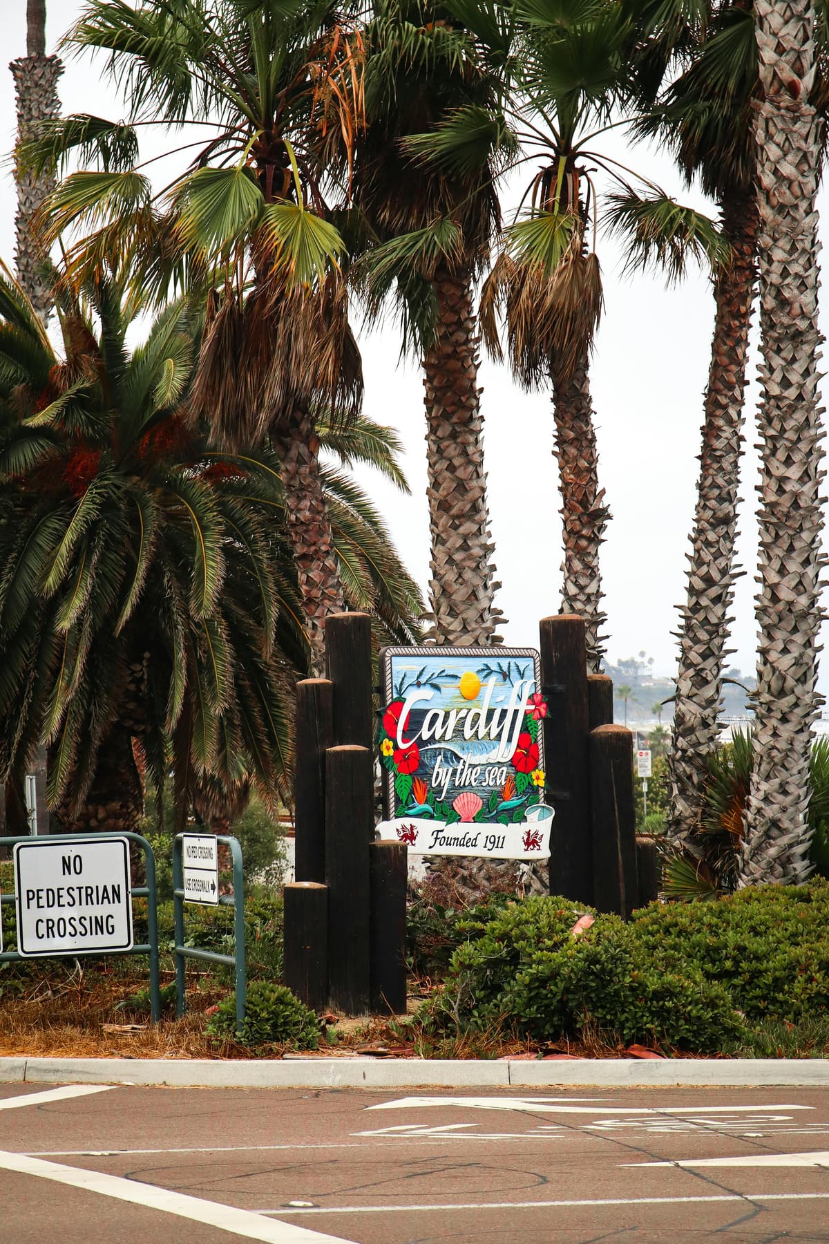 Cardiff Reef surf break in Cardiff-by-the-Sea, California